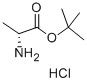 98+ whiter powder  D-Ala-Otbu.Hcl CAS NO. 59531-86-1